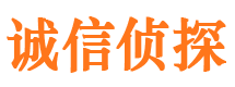 宁陵诚信私家侦探公司